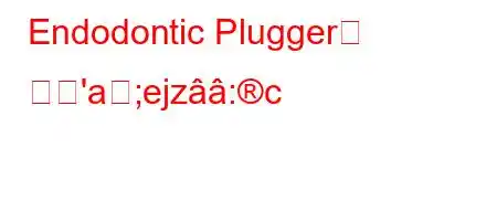 Endodontic Plugger는 무엇'a;ejz:c